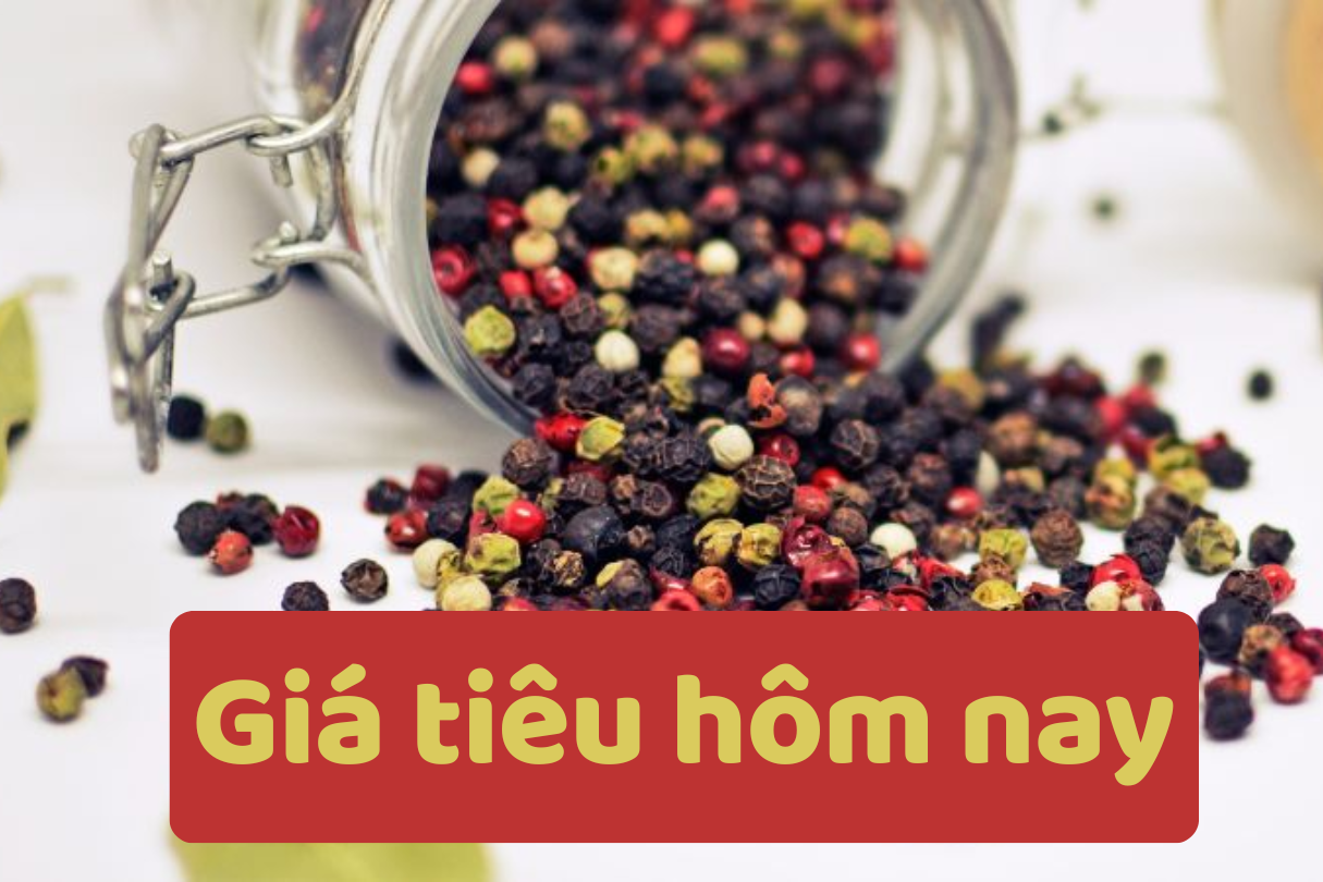 Pepper price today June 16, 2025: Sharp decrease compared to last week